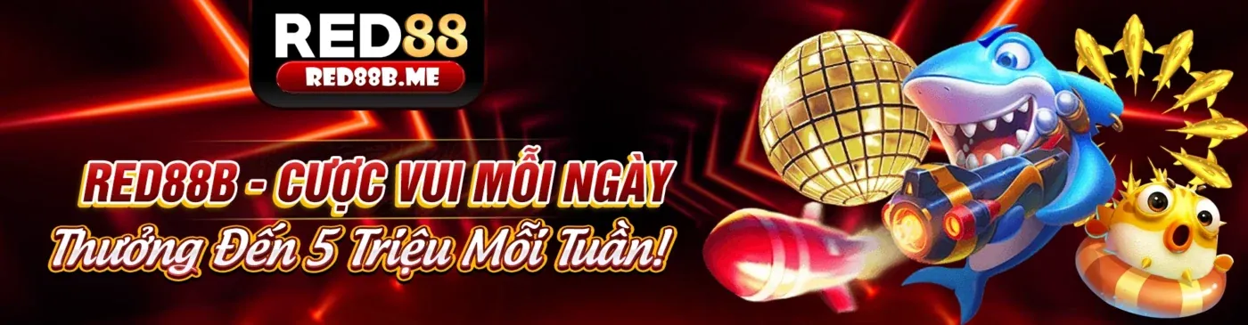 Đá Gà Thomo Bình Luận Trực Tiếp