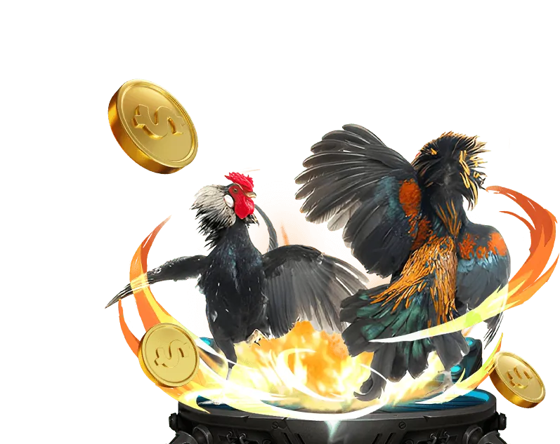 Chương trình giới thiệu bạn bè